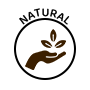Icon 1